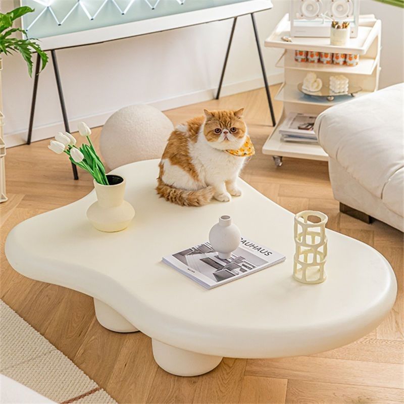 Modern Molly Coffee Table