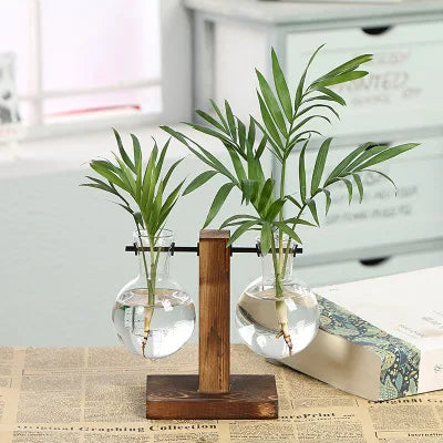 hydroponicplant8