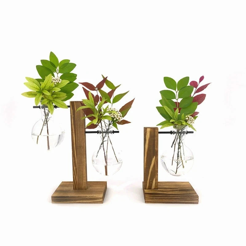 hydroponicplant5