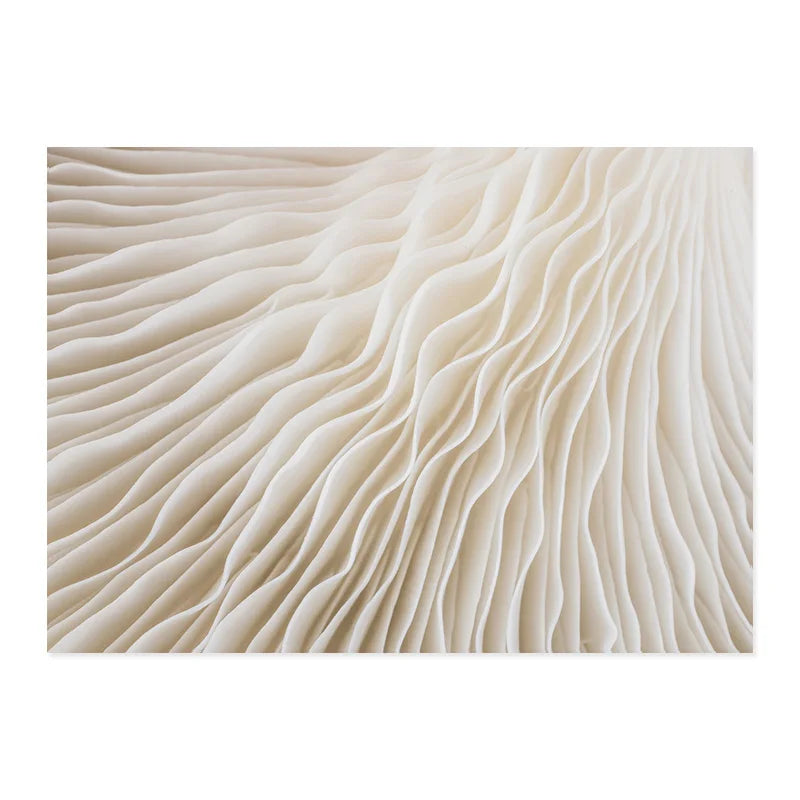 Boho Matisse posters beige white