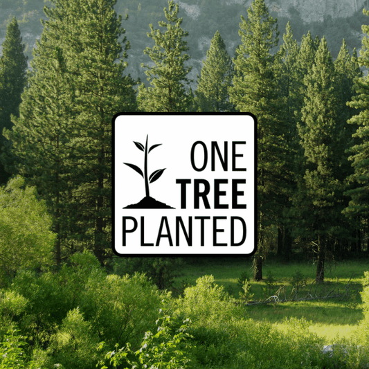 Donation of a Tree 