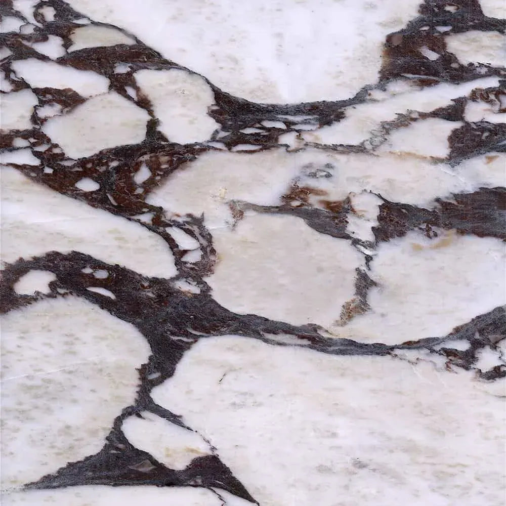 Calacatta Viola marble