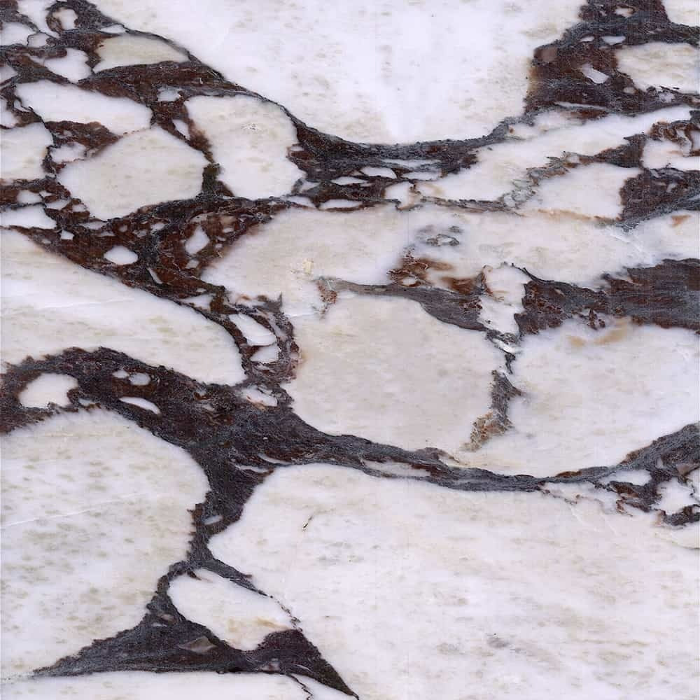 Calacatta Viola natural marble