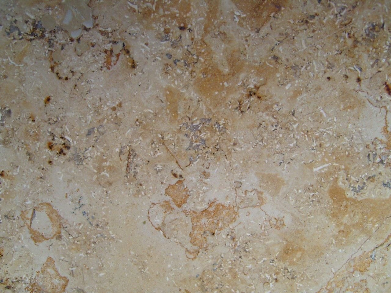Photographed warm-toned stone surface with mineral variation
