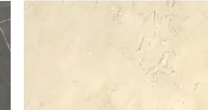 Crema Marfil natural stone sample