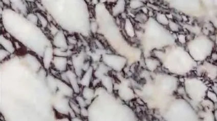 Turkish Calacatta Viola natural stone sample